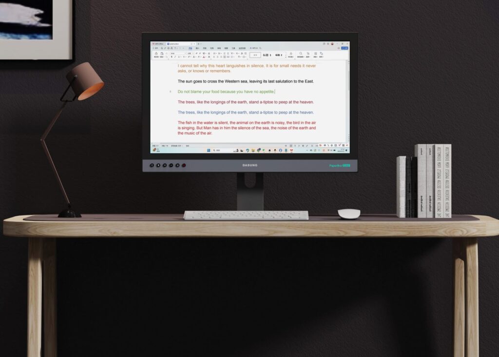 DASUNG Paperlike 253 Color E ink Monitor buy in Canada