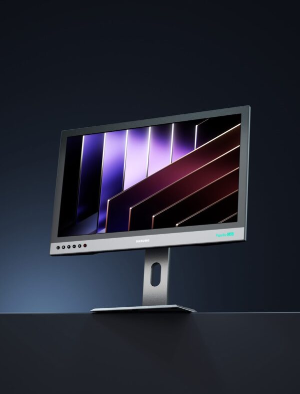 DASUNG Paperlike 25.3-inch Color E-ink Monitor Buy In Canada
